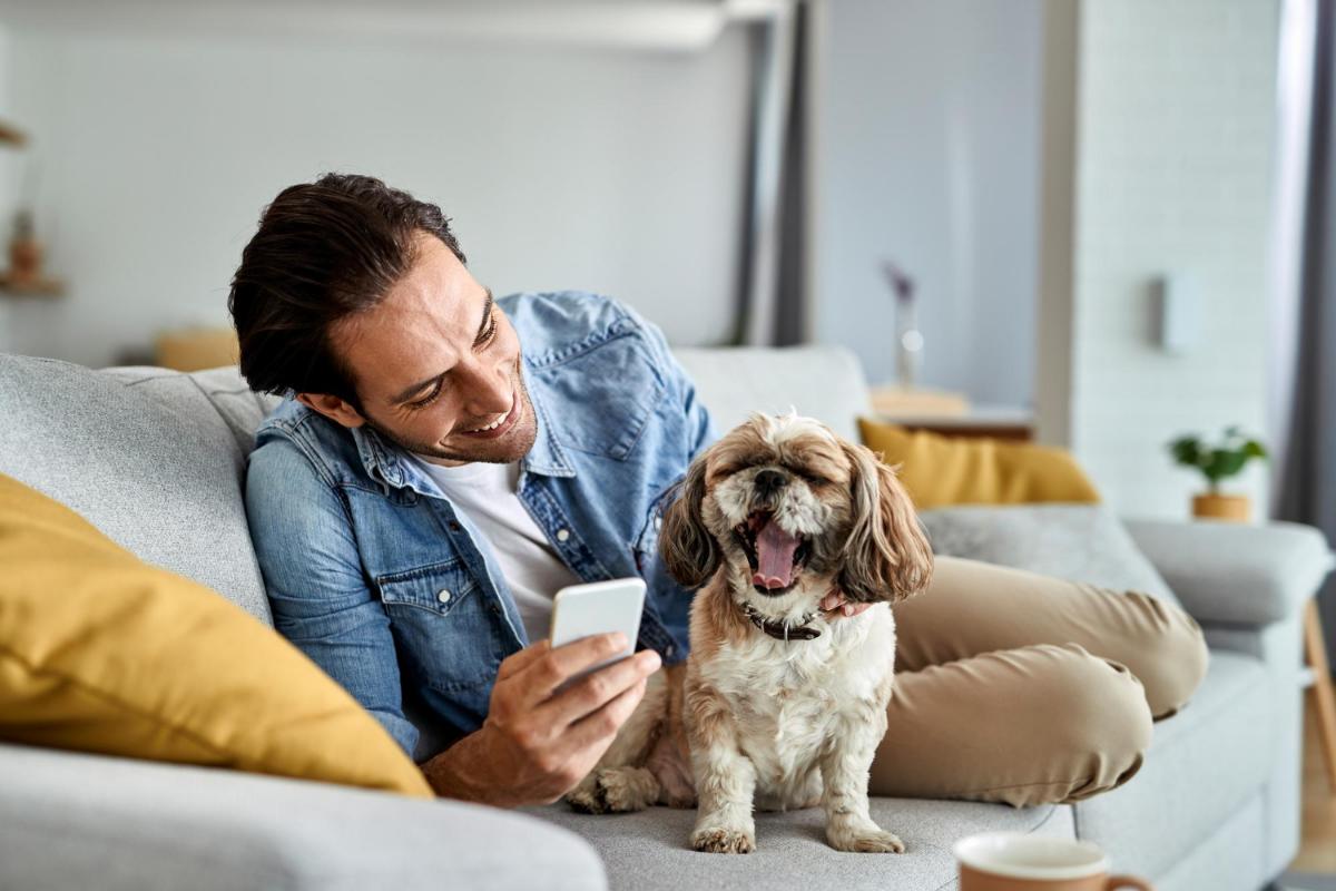 Using Social Media to Locate Mobile Dog Grooming in Columbus, OH