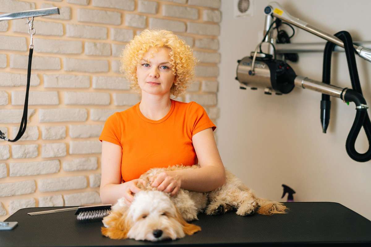 6 Tips for Finding a Groomer