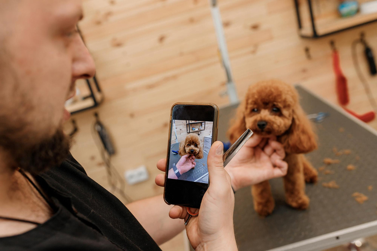 Websites for Finding Mobile Grooming in Clermont, FL