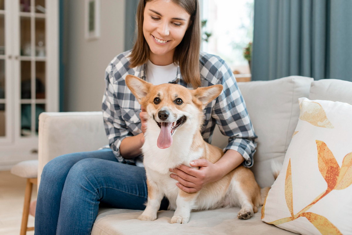 How to Keep Your Home Clean when You Have a Dog