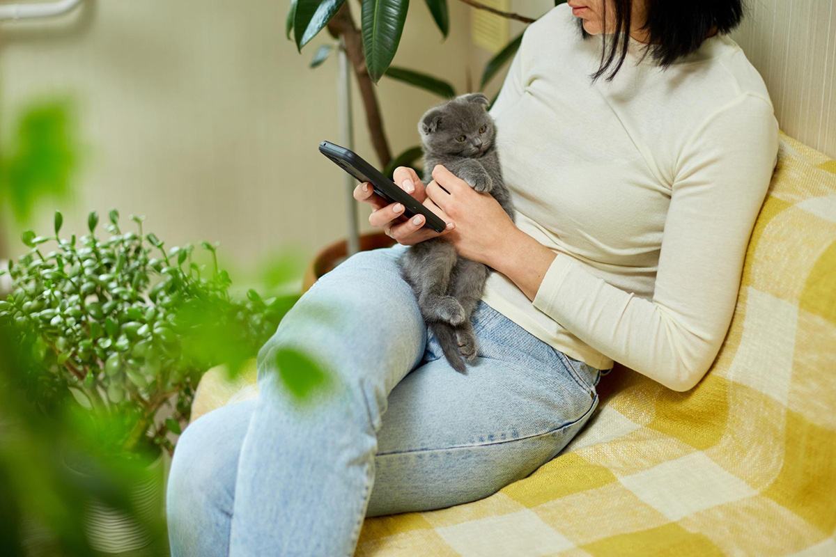 Tips for New Cat Owners: How to Ensure Your Feline Friend is Happy and Healthy