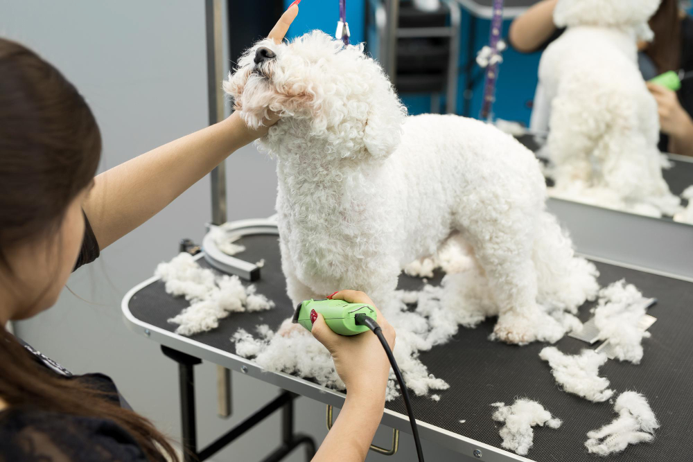 Essential Tips for Grooming a Dog with Allergies