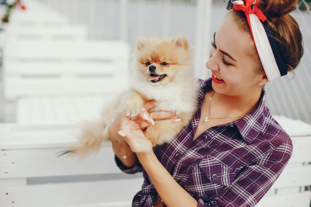 The Ultimate Guide to Puppy Grooming