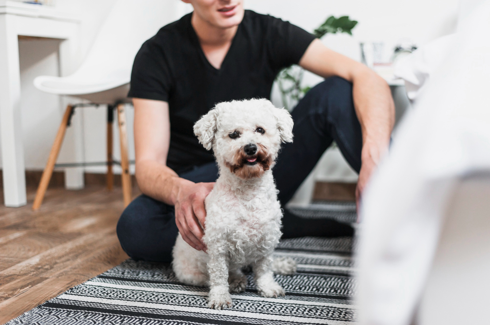 Your Dog's First Mobile Grooming: A Complete Prep Guide