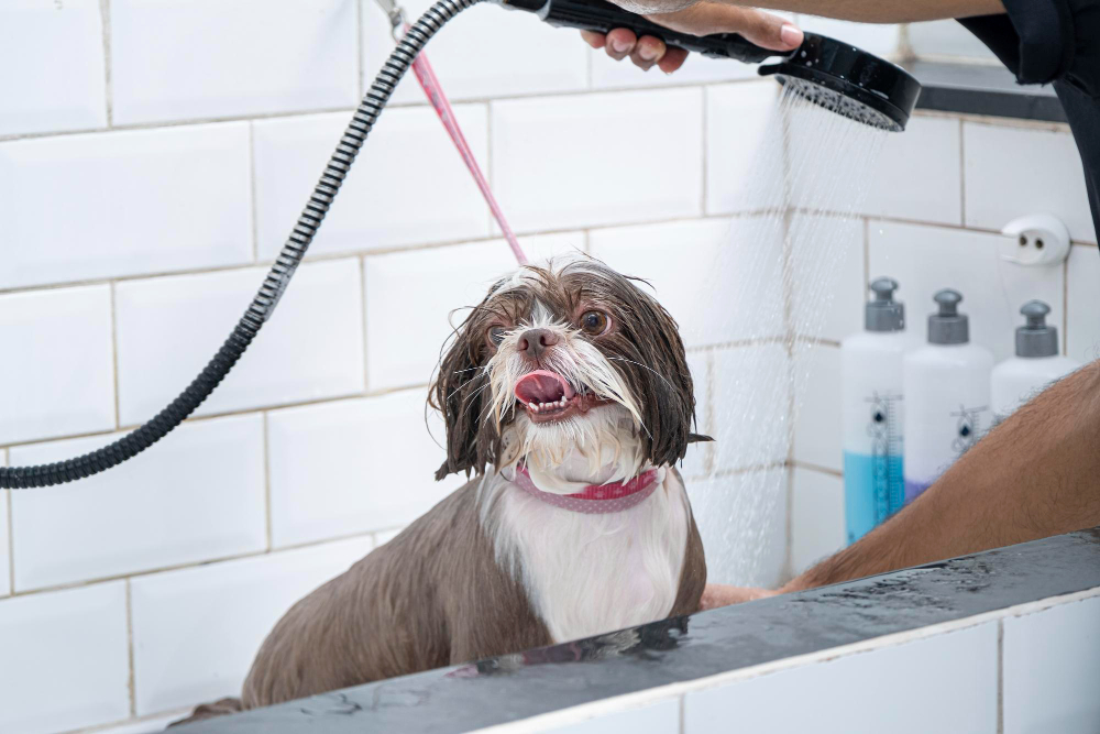 Your First Mobile Dog Grooming Visit in Columbus, OH