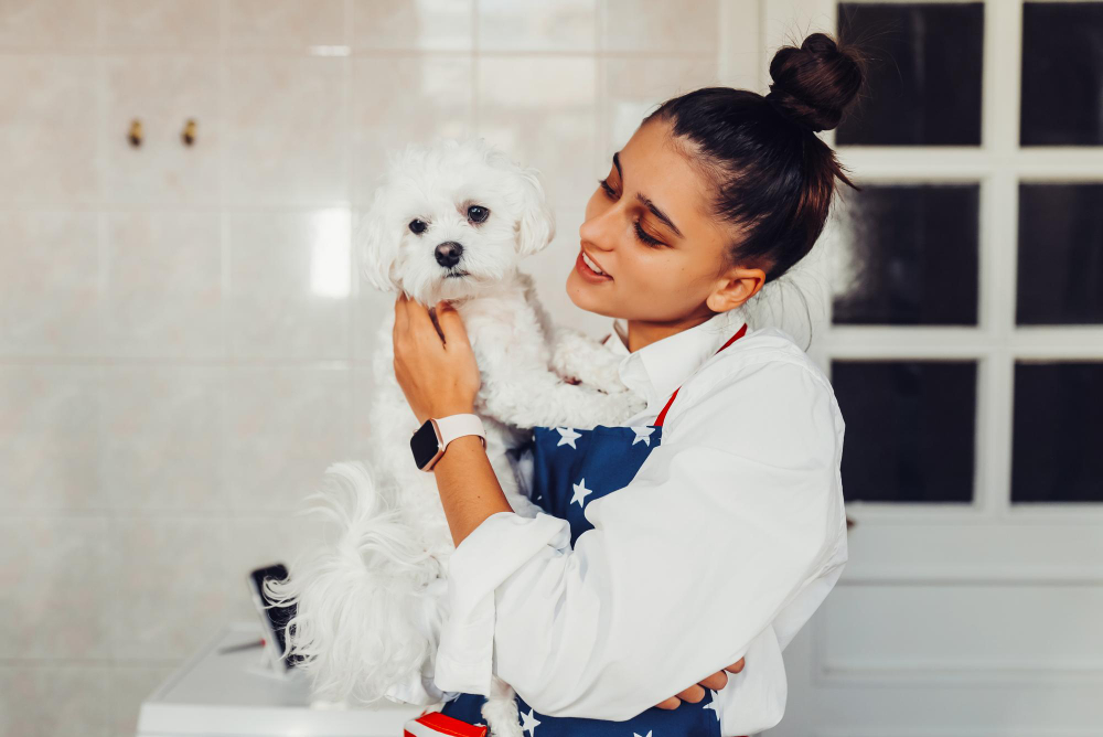 How Professional Dog Grooming Enhances Your Pet’s Well-Being