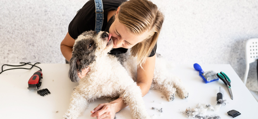 Mobile Dog Grooming in Columbus OH: Why It's Best for Puppies