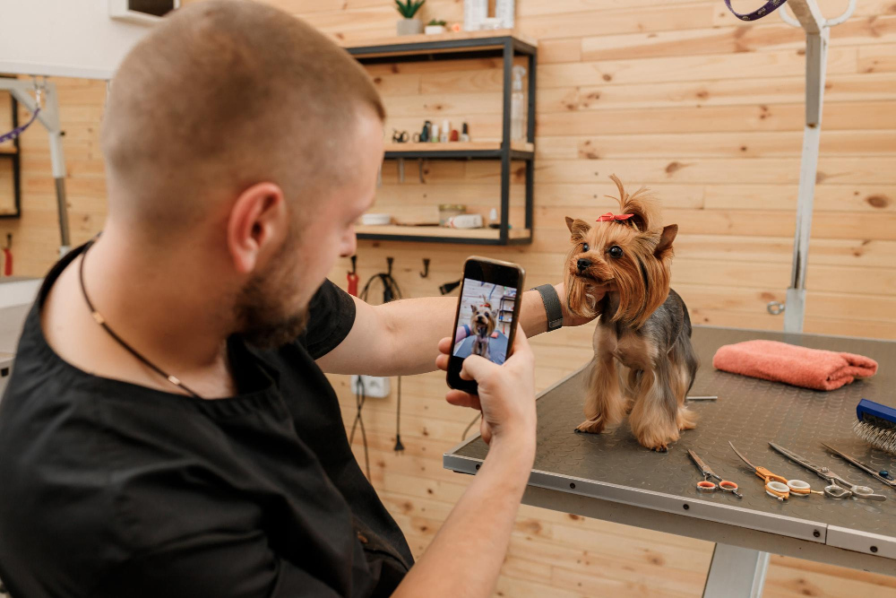 Stress-Free Grooming at Your Doorstep: A Columbus Dog Owner’s Guide