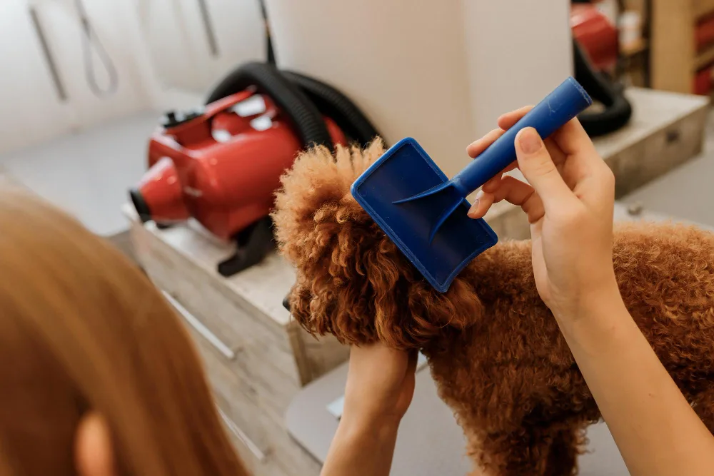 How to Prepare Your Home for a Mobile Dog Grooming Visit