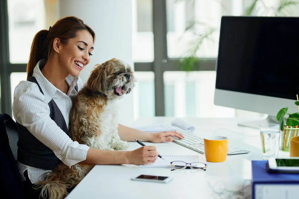 How Mobile Dog Grooming Saves Time for Busy Pet Owners